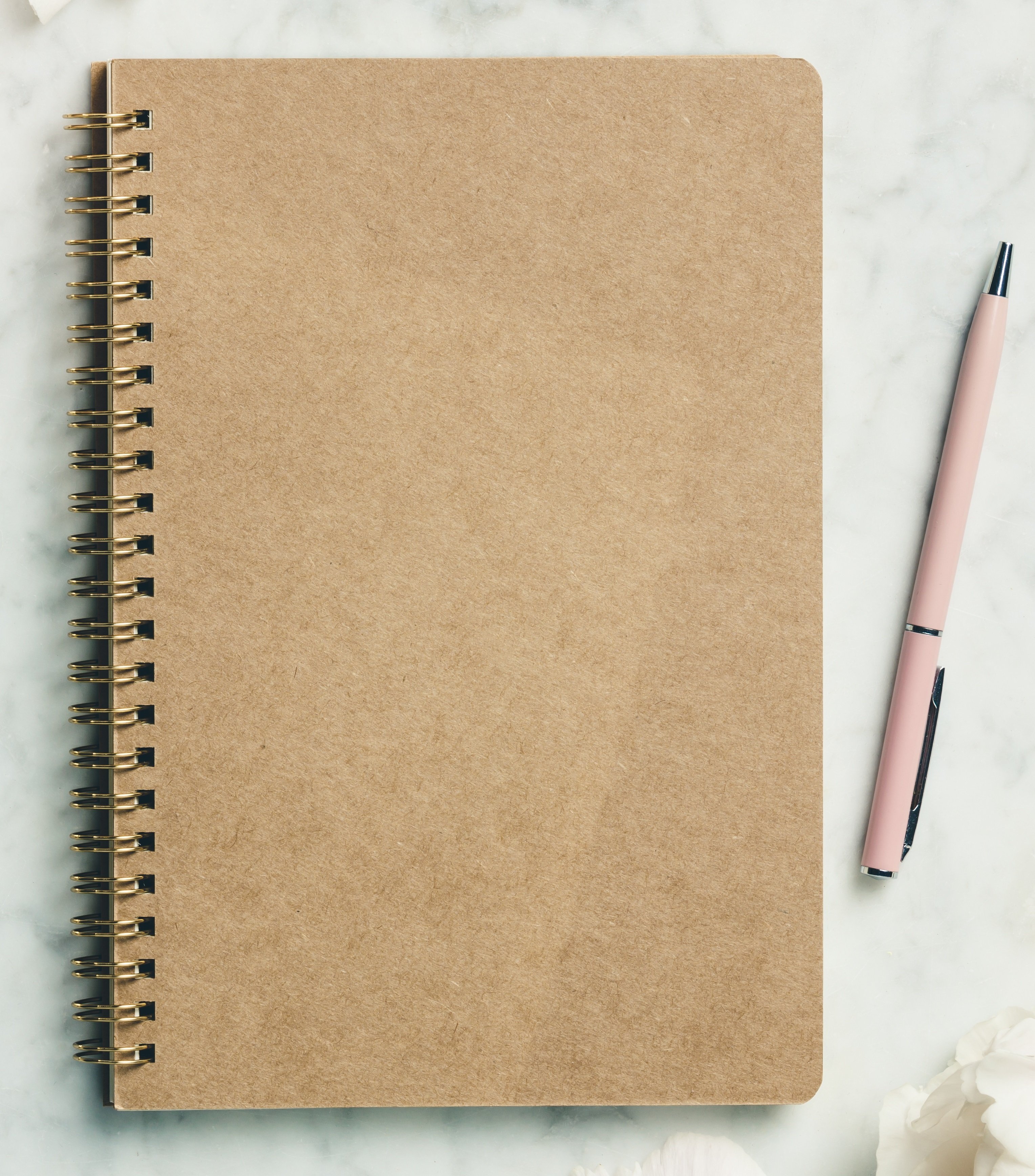 Creative Digital Diary